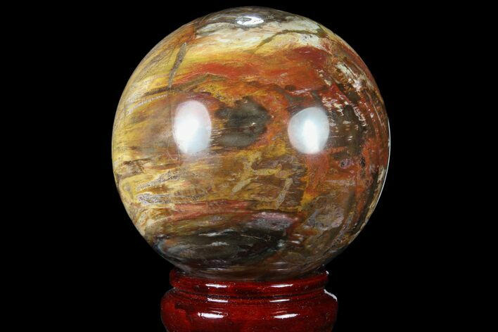 Colorful Petrified Wood Sphere - Madagascar #81549